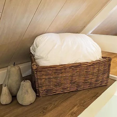Windekind Mit Blick Auf Felder By Interhome * De Panne
